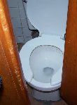 Le Guide de la rentrée 2008 pour les parents : Toilettes : le scandale au cœur de l’école