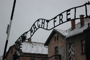 Lycée : Organiser le Voyage de nos élèves à Auschwitz : Pourquoi ? Comment ? – Nicole Mullier