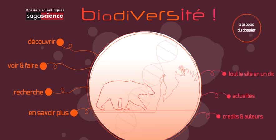 Biodiversité