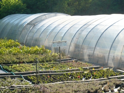 Sécurité alimentaire