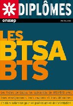 Les BTS à la loupe