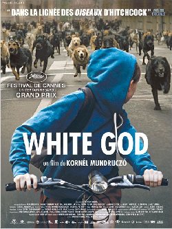 Le film de la semaine : White God