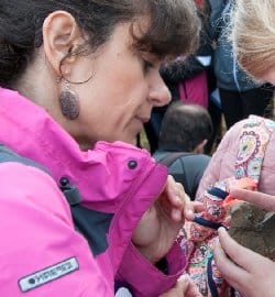 Collège : Sciences : Un EPI volcanique