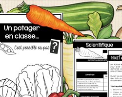 Un potager dans la classe ?