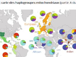 SVT : Des données génétiques pour reconstituer l’histoire de l’humanité