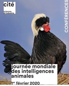 Samedi : Journée mondiale des intelligences animales à la Cité des sciences