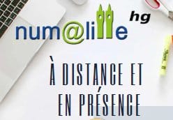 Histoire-géo : Num@lille : Présentiel / distanciel