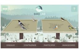 Birdlab : Observez les oiseaux et contribue à la recherche