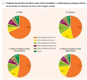 La réforme du lycée et les inégalités sociales en terminale