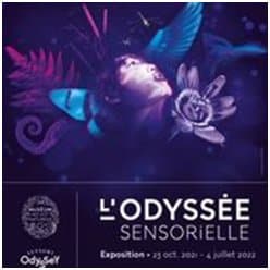 L’expo de la semaine : « L’Odyssée sensorielle »