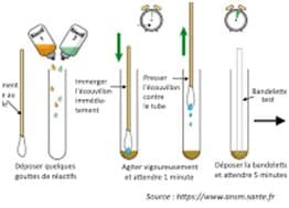 Pratiquer les sciences hors laboratoire