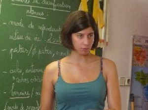 Concours : Plus de 3000 professeurs manquants à la rentrée