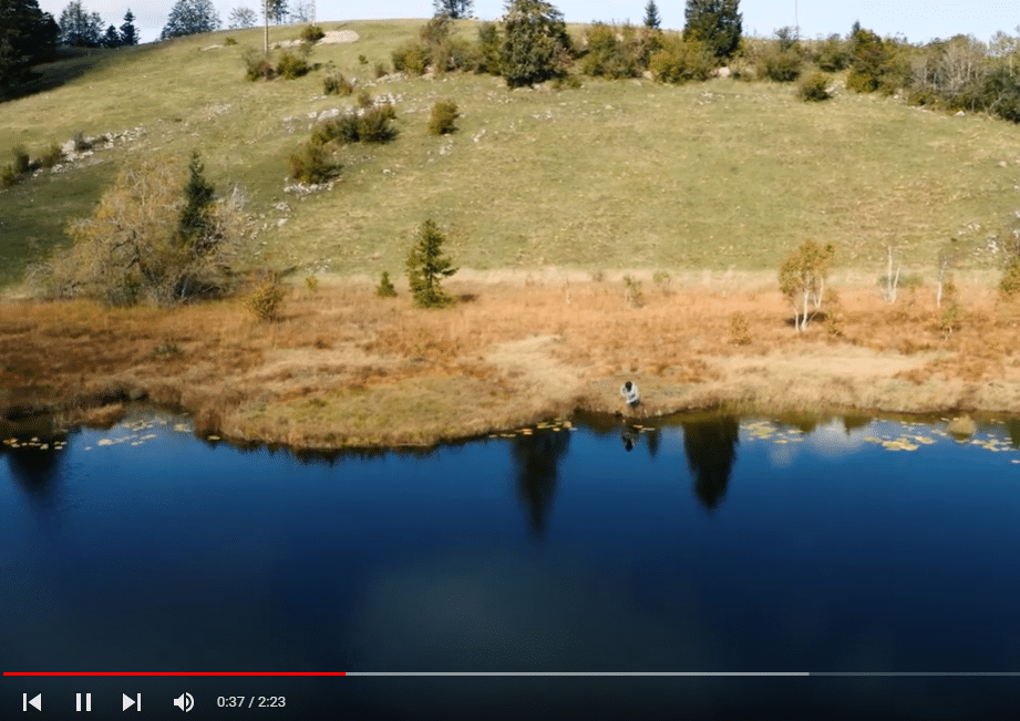 SVT : les tourbières du Haut-Jura en vidéo