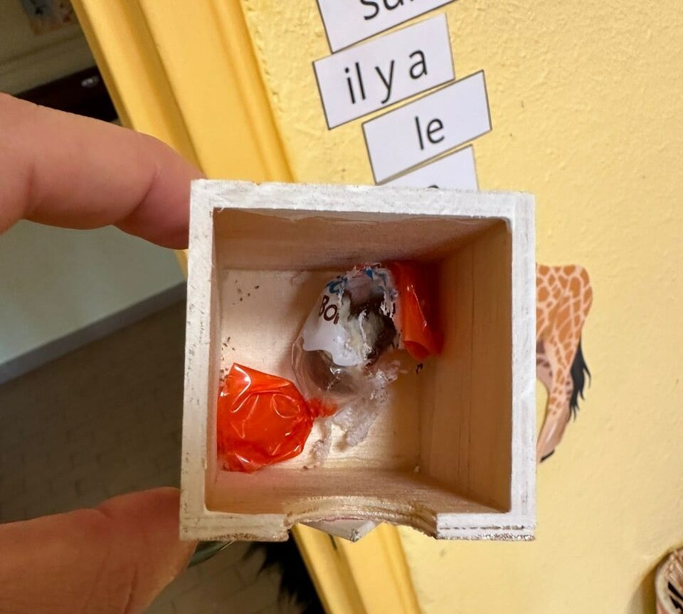 Aubagne : des souris dans la classe