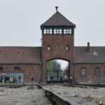 Il y a 80 ans, la libération du camp d’Auschwitz